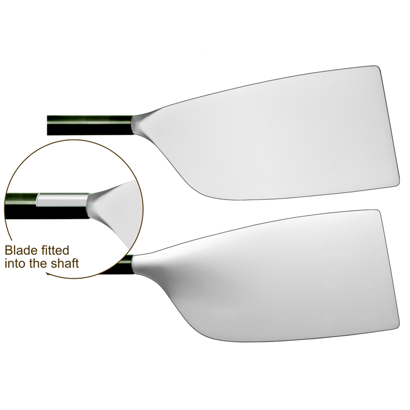 Double Wing, White Scull